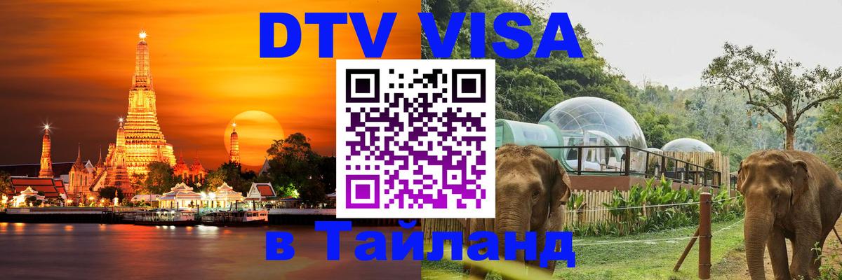 Оформление DTV визы под ключ: стоимость и тарифы, только загранпаспорт - 20.11.2025 